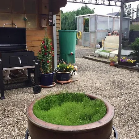 Ferienhaus Wilhelm Mitten Im Hunsruck 別荘 Reidenhausen